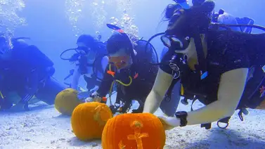 Un grupo de buceadores compiten en concurso submarino de tallado de calabaza en Florida (+Video) Un grupo de buceadores compiten en concurso submarino de tallado de calabaza en Florida (+Video)