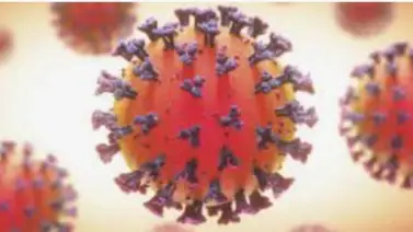 Personas con antecedentes de cáncer tienen mayor riesgo de complicaciones por covid, según estudio Personas con antecedentes de cáncer tienen mayor riesgo de complicaciones por covid, según estudio