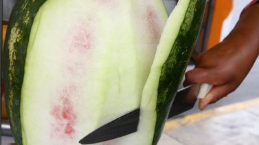 Siete mercedes para no desechar la concha de patilla