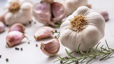 Conoce todo sobre el ajo Conoce todo sobre el ajo