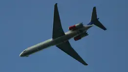 Un avión con 21 personas a bordo se estrella en Texas (+Video)