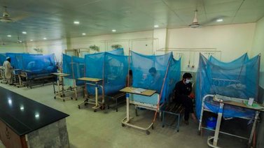 Academia Nacional de Medicina exhorta al Gobierno a vacunar contra la fiebre amarilla
