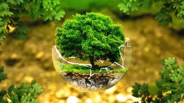 Día Mundial de Protección de la Naturaleza