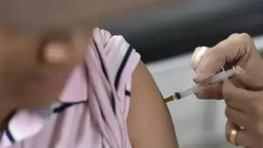 Presidente del SVI hace un llamado para vacunar a la población venezolana contra la fiebre amarilla Presidente del SVI hace un llamado para vacunar a la población venezolana contra la fiebre amarilla