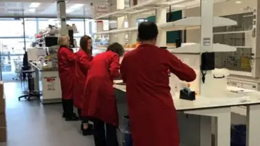 Cierran un laboratorio británico tras unos 43.000 tests de covid erróneos Cierran un laboratorio británico tras unos 43.000 tests de covid erróneos