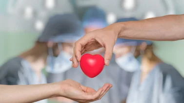 Se celebra el Día Mundial de la Donación de Órganos