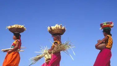 Indígenas del sur de México marchan por la resistencia de pueblos originarios Indígenas del sur de México marchan por la resistencia de pueblos originarios
