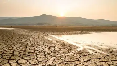 OMS: La crisis climática es la mayor amenaza en la actualidad OMS: La crisis climática es la mayor amenaza en la actualidad