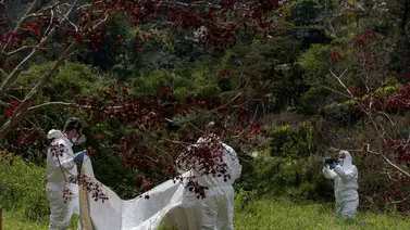 Investigan asesinato de dos jóvenes en una convulsa región de Colombia Investigan asesinato de dos jóvenes en una convulsa región de Colombia