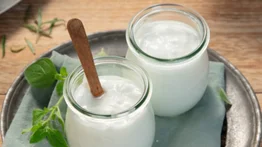 Descubre los secretos del yogur