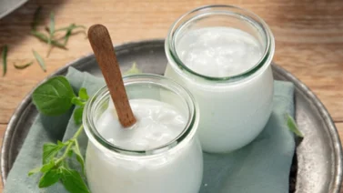 Descubre los secretos del yogur