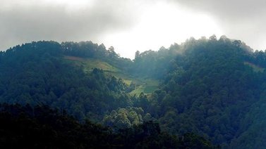 ONU reconoce que vivir en un medio ambiente limpio es un derecho humano