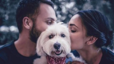Juez considera a las mascotas como un hijo más en caso de divorcio