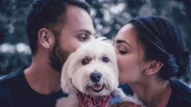 Juez considera a las mascotas como un hijo más en caso de divorcio