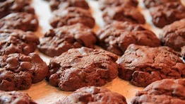 Golosas galletas con baño de chocolate