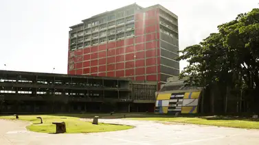 Aceleran trabajos de embellecimiento en áreas de la UCV Aceleran trabajos de embellecimiento en áreas de la UCV