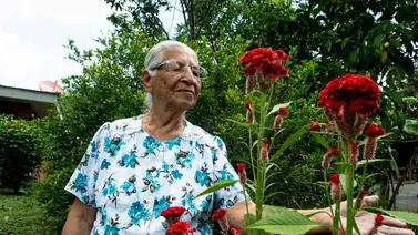 Península de Nicoya, una de la zonas con los habitantes más longevos Península de Nicoya, una de la zonas con los habitantes más longevos