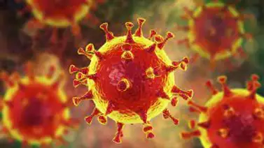 La respuesta inmunitaria a la vacuna covid es menor con la quimioterapia La respuesta inmunitaria a la vacuna covid es menor con la quimioterapia