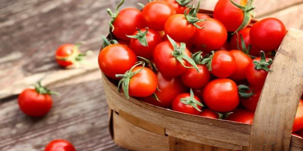 Tomates rellenos para deleitar paladares
