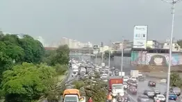 Reportan un árbol caído por las fuertes lluvias en la autopista a la altura de San Martin