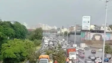 Reportan un árbol caído por las fuertes lluvias en la autopista a la altura de San Martin Reportan un árbol caído por las fuertes lluvias en la autopista a la altura de San Martin