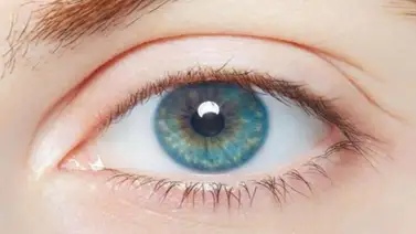 Un fármaco mejora la esperanza en pacientes con cáncer de ojo Un fármaco mejora la esperanza en pacientes con cáncer de ojo