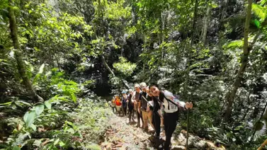 Sendero Surcuito: una aventura ecoturística en Caracas Sendero Surcuito: una aventura ecoturística en Caracas