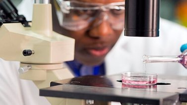 Día Internacional de Investigación contra el Cáncer