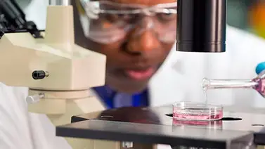 Día Internacional de Investigación contra el Cáncer Día Internacional de Investigación contra el Cáncer