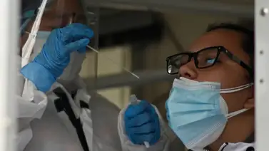 El coronavirus puede parecer con el tiempo un resfriado, según experta El coronavirus puede parecer con el tiempo un resfriado, según experta