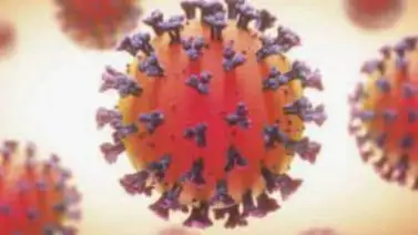 Bolivia registra 150 nuevos casos y llegan más vacunas contra la COVID-19 Bolivia registra 150 nuevos casos y llegan más vacunas contra la COVID-19