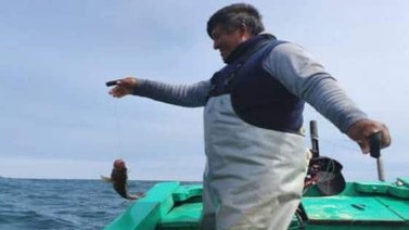 El hielo: un verdadero tesoro para los pescadores de la Amazonía peruana