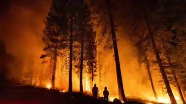 Incendios en Australia provocan una enorme proliferación de algas en el océano Antártico Incendios en Australia provocan una enorme proliferación de algas en el océano Antártico