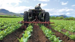 Piden apoyo para mejorar el sector agrícola en Venezuela