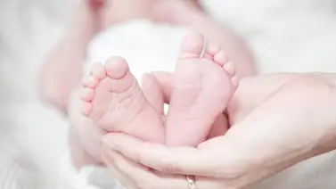 Policía Científica rescata a recién nacido que se llevaron de un hospital Policía Científica rescata a recién nacido que se llevaron de un hospital