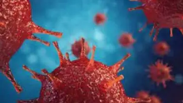 El tratamiento global del VIH y la tuberculosis cae debido a la pandemia El tratamiento global del VIH y la tuberculosis cae debido a la pandemia