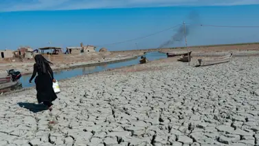 Crisis y sequía amenazan la producción de alimentos en Afganistán Crisis y sequía amenazan la producción de alimentos en Afganistán