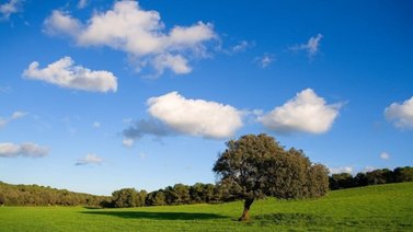 Día Internacional del Aire Limpio por un Cielo Azul