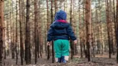 Rescatan a niño de 3 años tras 4 días desaparecido en un bosque de Australia Rescatan a niño de 3 años tras 4 días desaparecido en un bosque de Australia