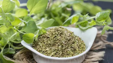 El orégano y sus propiedades curativas El orégano y sus propiedades curativas