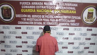 Detienen a un hombre por matar a palazos al perro de su vecino en Yaracuy