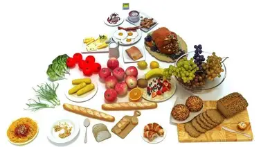 Alimentación necesaria para un organismo saludable Alimentación necesaria para un organismo saludable