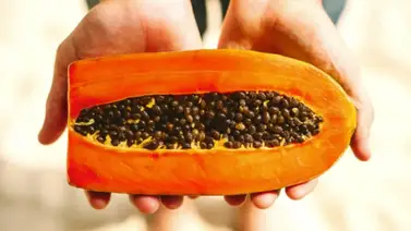 La lechosa una fruta excelente para la salud La lechosa una fruta excelente para la salud