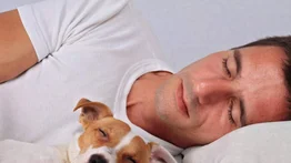 Pro y contra de dormir con tu perro