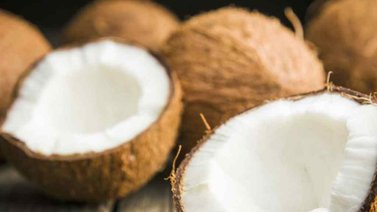 Celebra el Día Mundial del Coco conociendo sus beneficios