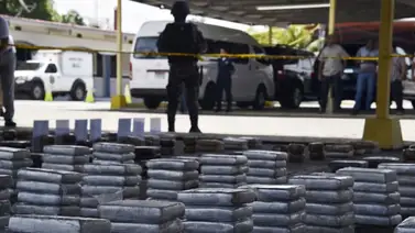 Desmantelan red criminal que traficó drogas hacia Europa y EEUU en Panamá Desmantelan red criminal que traficó drogas hacia Europa y EEUU en Panamá