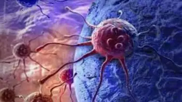 Inmunoterapia abre futuro prometedor a pacientes con cáncer en México Inmunoterapia abre futuro prometedor a pacientes con cáncer en México