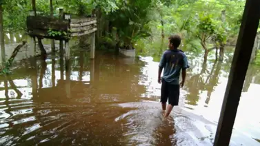 Sectores de Biruaca en Apure continúan inundados Sectores de Biruaca en Apure continúan inundados