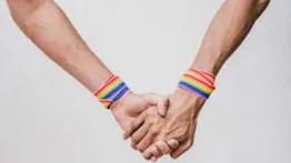 Estudio aborda la supervivencia de la homosexualidad durante la evolución