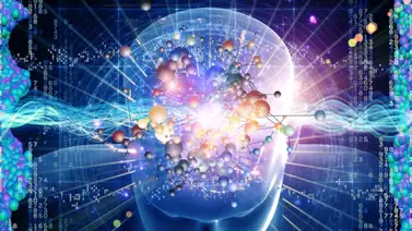 El cerebro es capaz de "predecir el futuro", según estudio El cerebro es capaz de "predecir el futuro", según estudio
